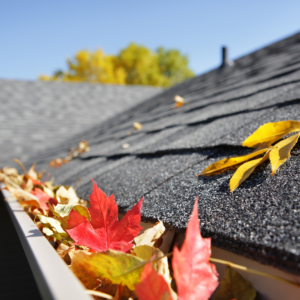 Roof Maintenance