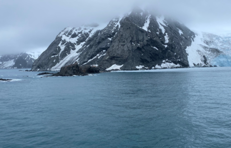 Elephant Island Wild Point