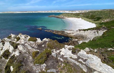 Gypsy Cove Falklands